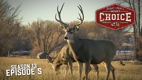 Colorado Mule Deer Hunt! - Archer’s Choice (Full Episode) // S13: Episode 5