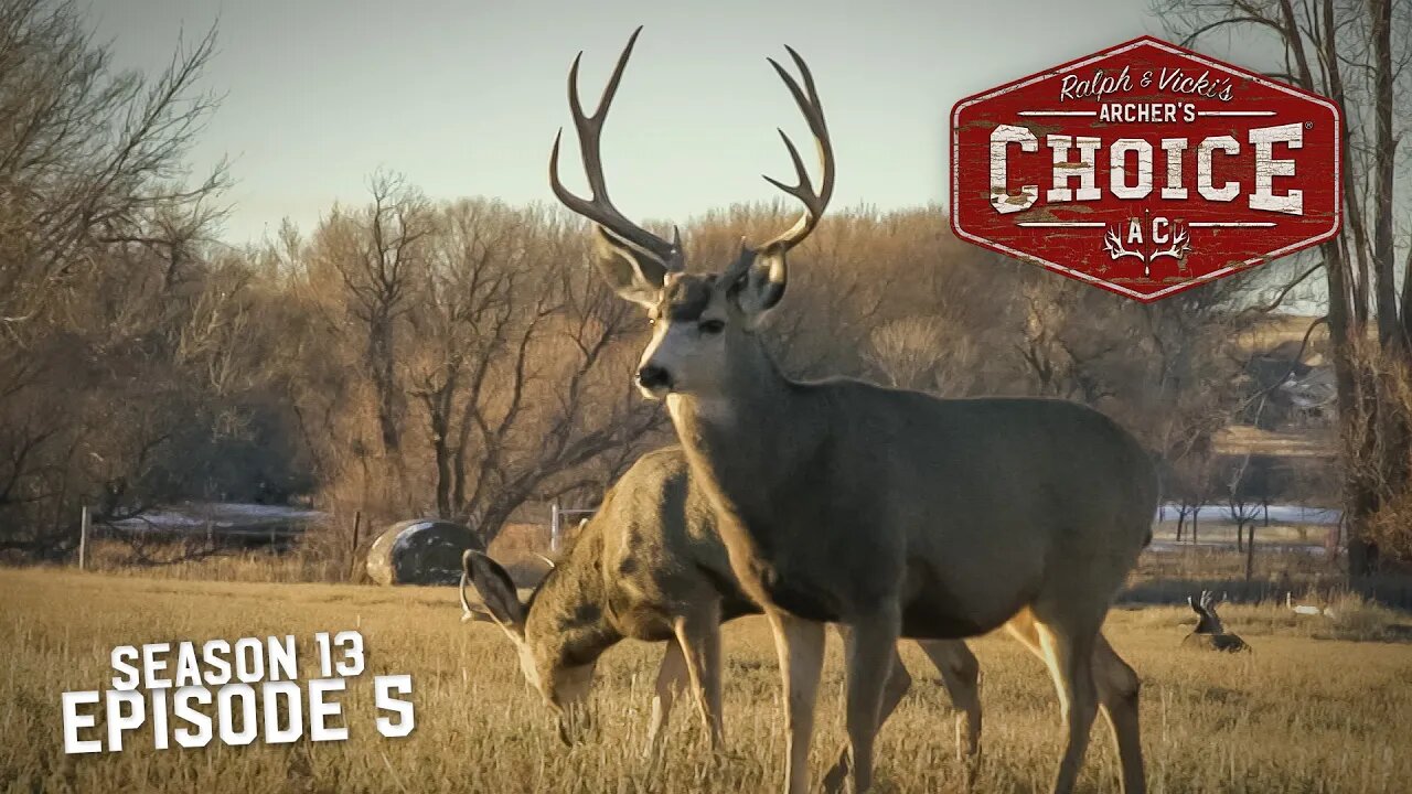 Colorado Mule Deer Hunt! - Archer’s Choice (Full Episode) // S13: Episode 5