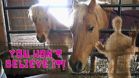 You Won't Believe What Our Farm Ghost Keeps Doing To Our Horses