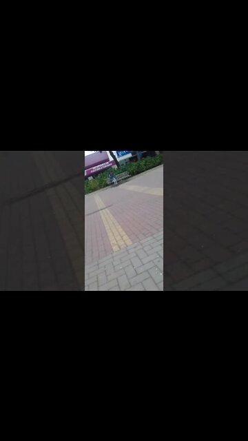 alimentando os pombos na praca pt7 #shorts