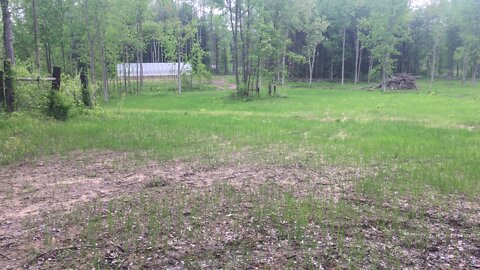 2022 May 19 High Pasture Update