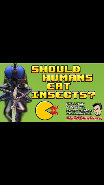 SHOULD HUMANS EAT INSECTS Instead of Meat?