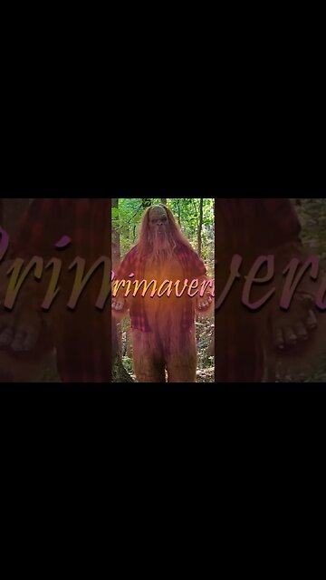 Bigfoot teaches English