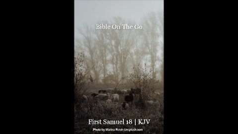 1 SAMUEL 18 | KJV