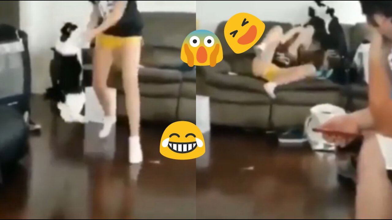 Cat Fight With teenager Girl, Funny Video, Random World