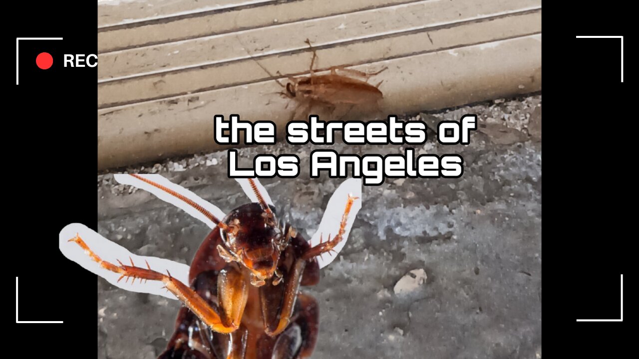 How dirty los Angeles is