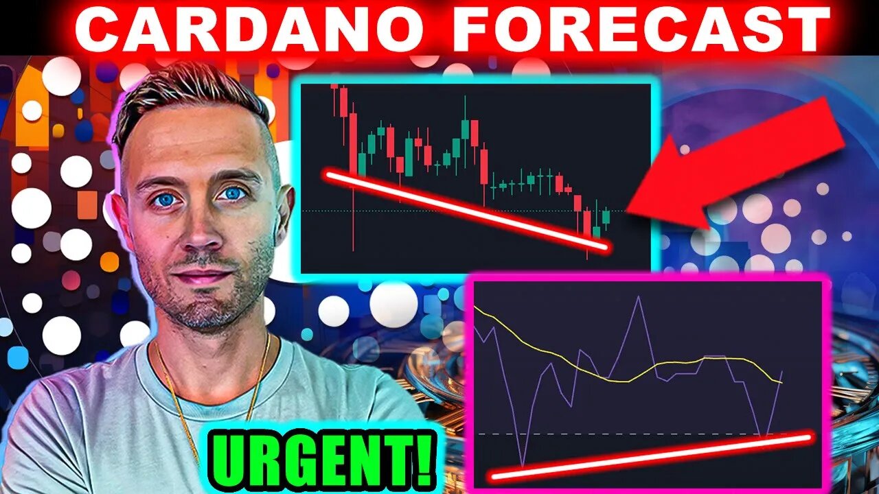 CARDANO Will SURPRISE Everyone! (What The Headlines AREN'T Telling You!)