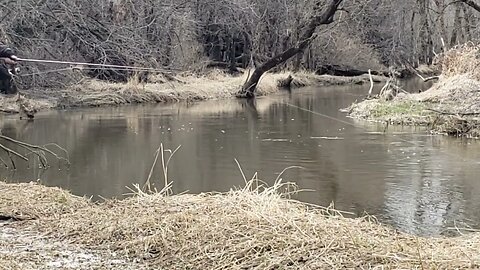 Fishing with a Heron at the Bode lake stream part 2 of 2