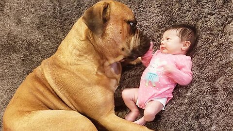 When a Big Dog Makes Loving Eye Contact With a Baby 🥰❤️ Cute Dogs and Human