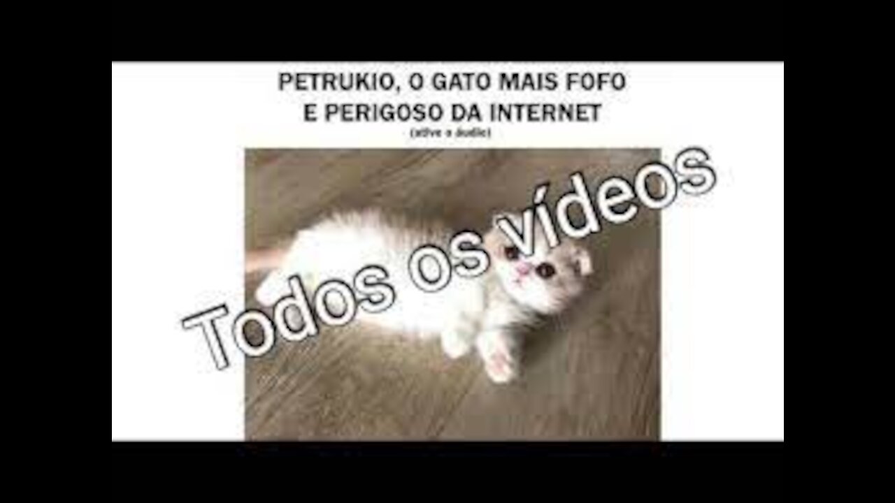 Petruchio The most dangerous and cute cat on the All Videos- Petruchio O gato