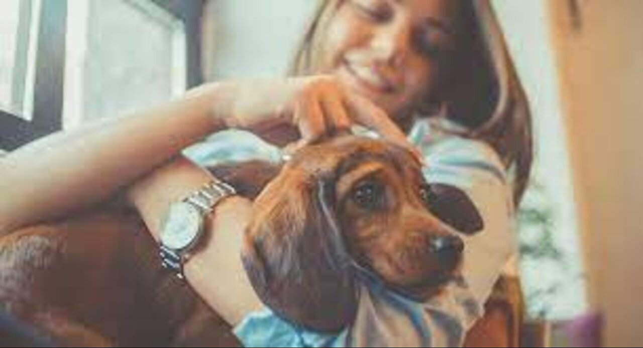 7 Ways Having a Pet Can Improve Your Mental health/ pet health