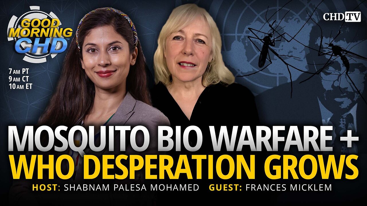 Mosquito Bio Warfare + WHO Desperation Grows