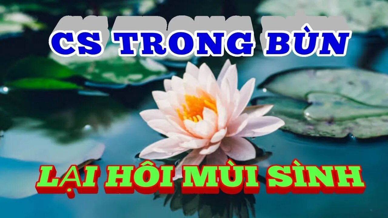 CS TRONG BÙN VẪN HÔI MÙI BÙN