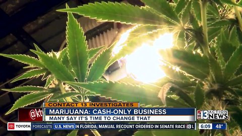Preview: Cannabis cash is tough to stash