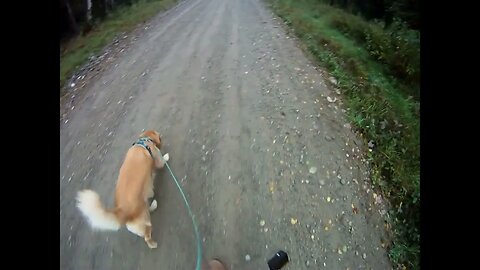 October 9th, 50º Flynn and I head South this morning, find the Corona bottle, will get it later.