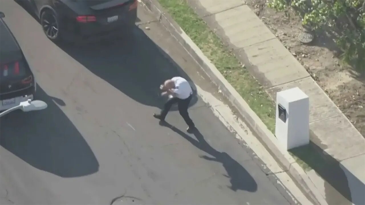 Bees swarm Los Angeles police volunteer who collapses to ground on video