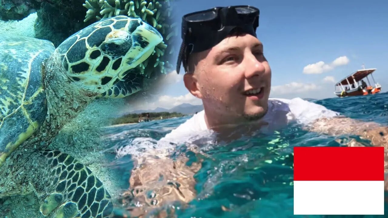 Swim With Me Through Gili Islands Tropical Waters