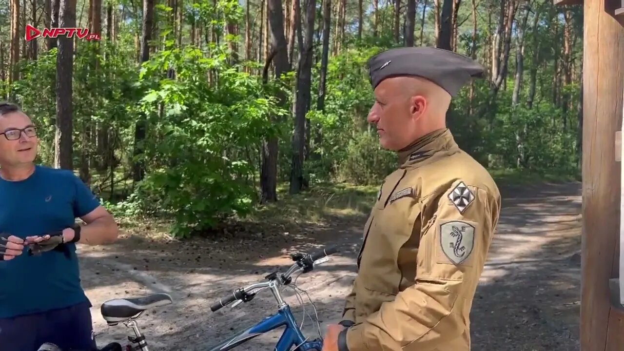 W Polskim lesie