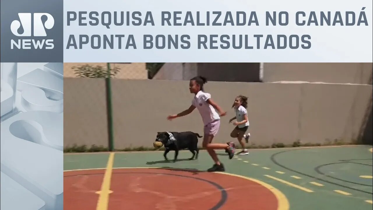 Contato com cães ajuda na evolução de crianças autistas