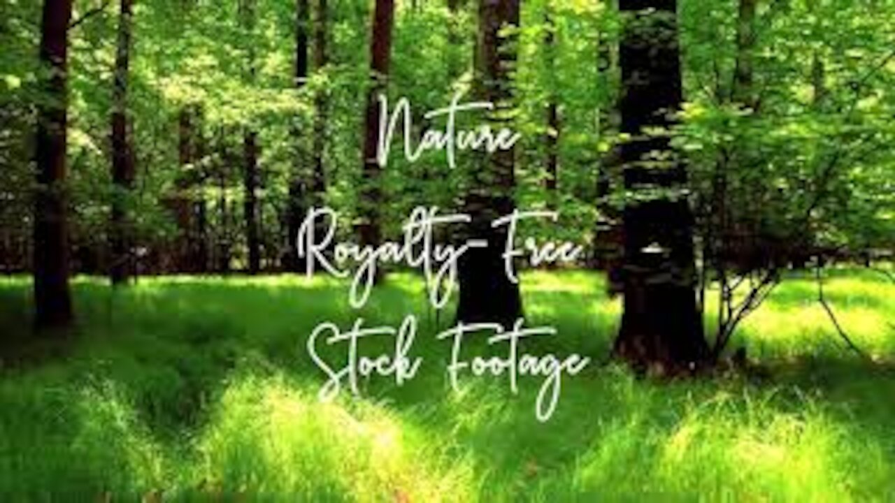 Beautiful Nature in world