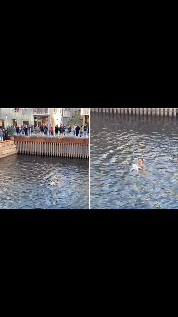 Woman jumps into water to save bird stuck in plastic bag
