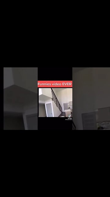 Gotta Love Dogs #funnyvideo #animals #dogsoftiktok