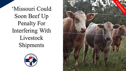 'Missouri Could Soon Beef Up Penalty For Interfering With Livestock Shipments'