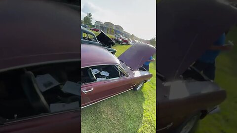 Nice Lil’ ‘66 Mustang Fastback with a 200 6 cylinder.