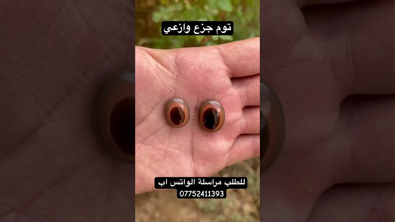 جزع يماني
