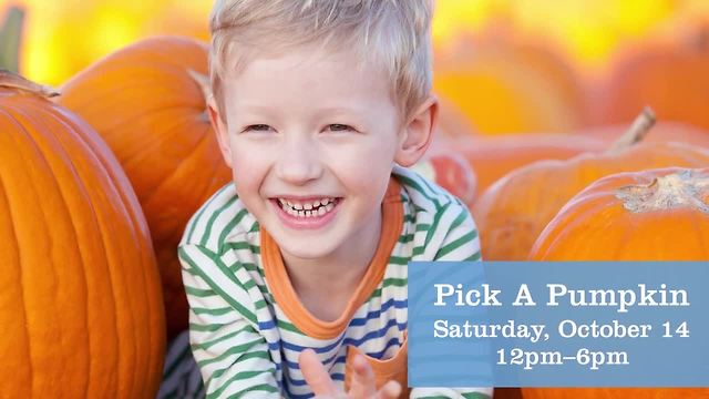 Skye Canyon giving away free pumpkins today