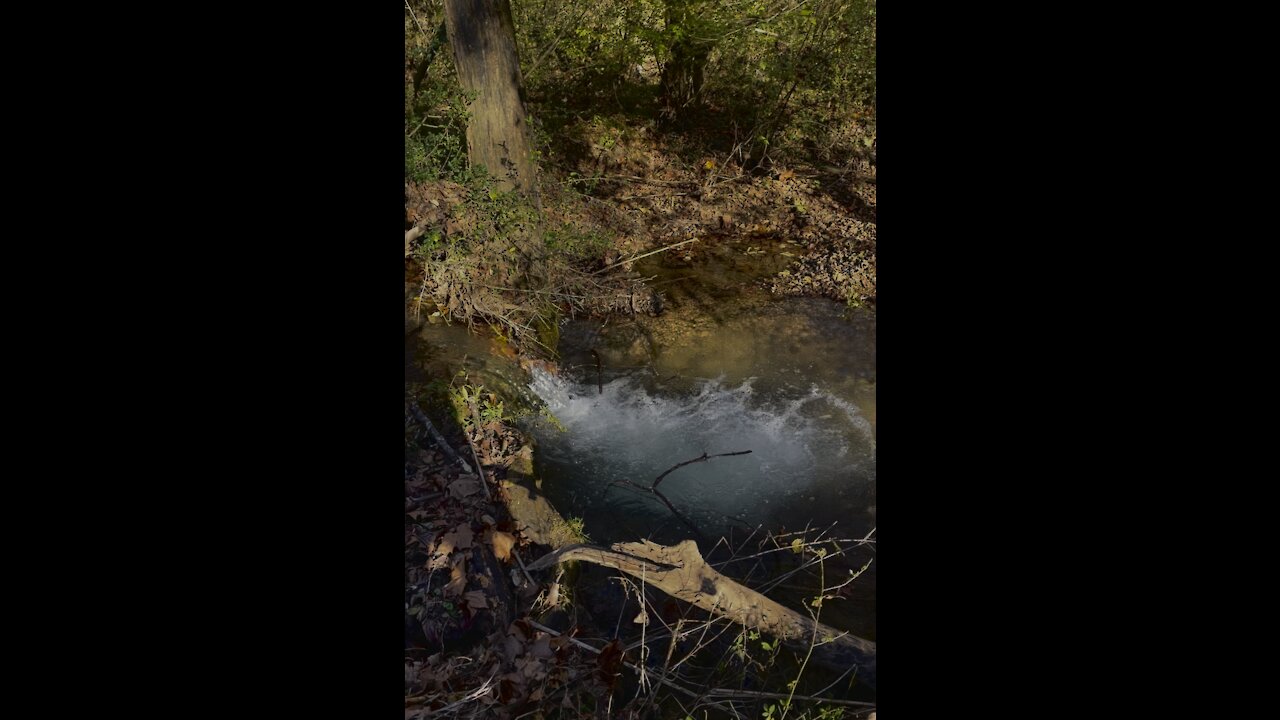 peaceful creek