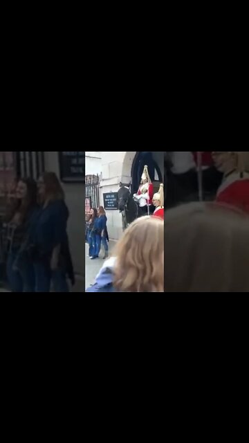 horse pushes the guard #horseguardsparade