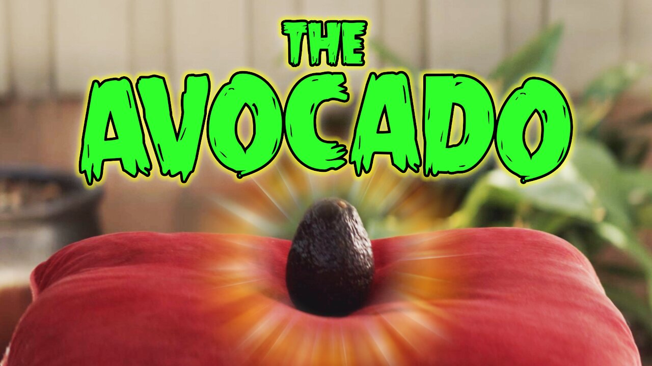 A Talking Avocado... Comedy Sketch