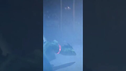 Here there be Dragons.