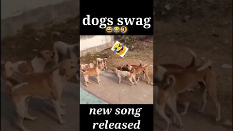 dog ka jalwa #shorts