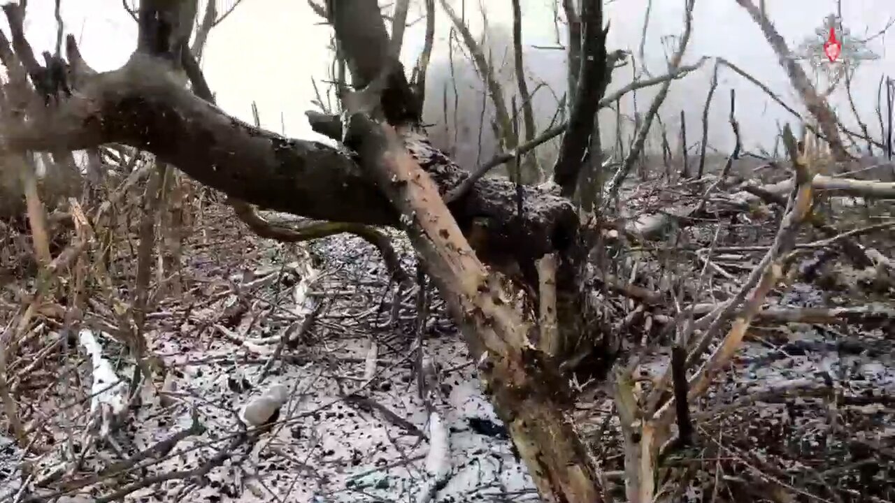 Footage of Russian marines taking a Ukrainian position in the Yuzhnodonetsk direction.