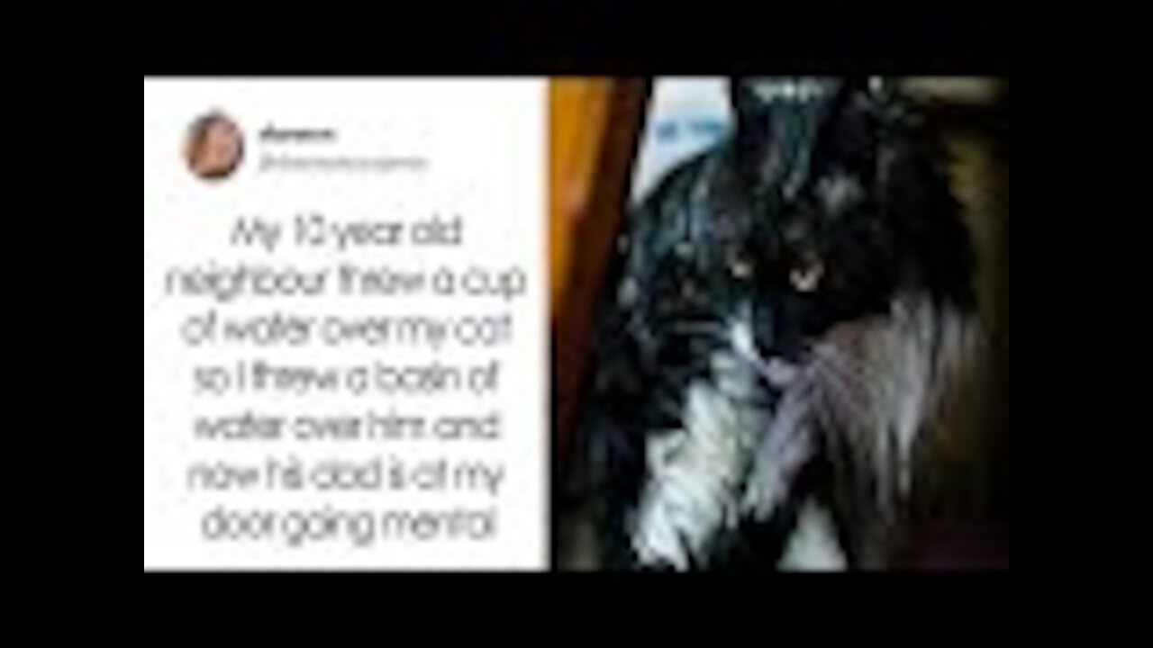 10-Yr-Old Boy Throws Water On Neighbor's Cat, Owner Teaches A Lesson By Throwing Water At Him