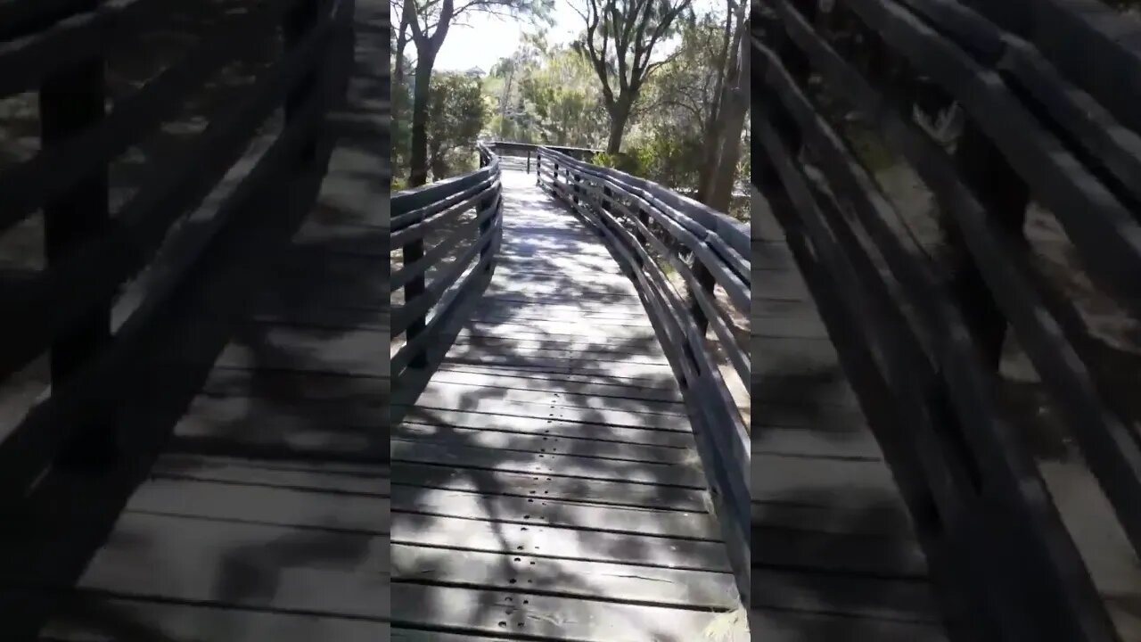 Where In Perth Is This Boardwalk? #1 #InPerth