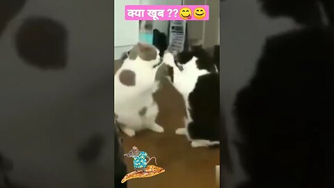 क्या खूब ?? l @CrazyXYZ @Mm5.0startlingyoutubeshorts l #shorts