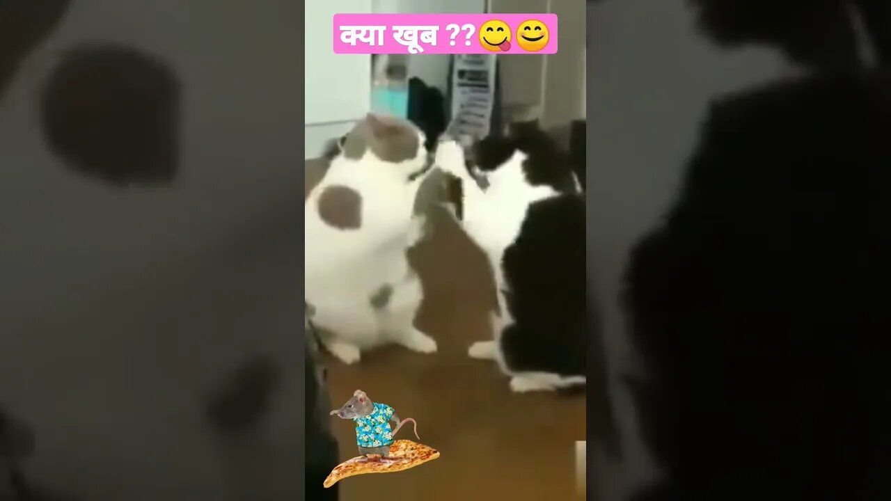 क्या खूब ?? l @CrazyXYZ @Mm5.0startlingyoutubeshorts l #shorts