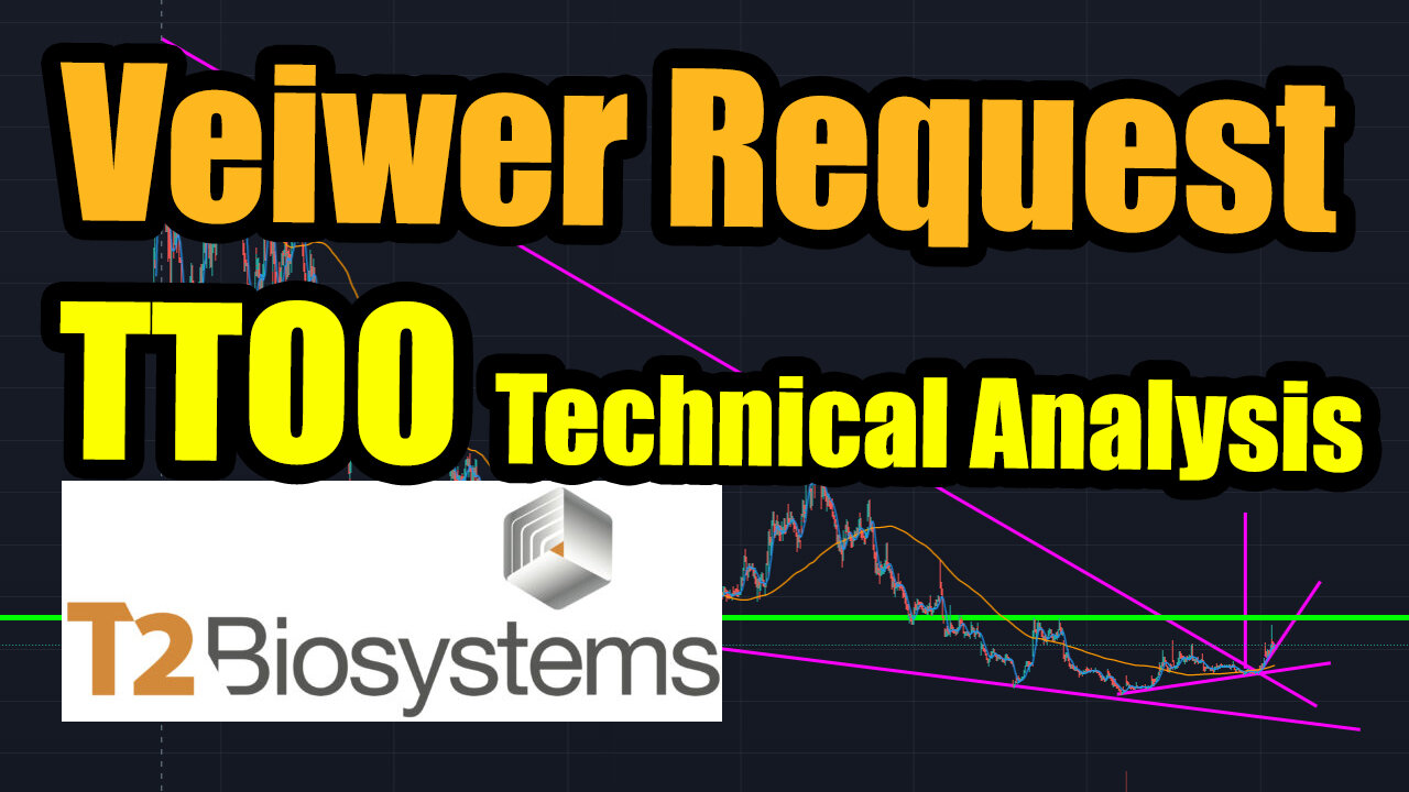 TTOO Stock Analysis Today Veiwer Requested