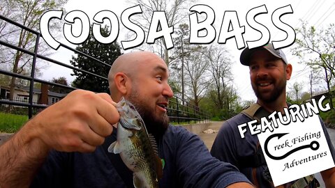 My first COOSA BASS! ft - Creek Fishing Adventures