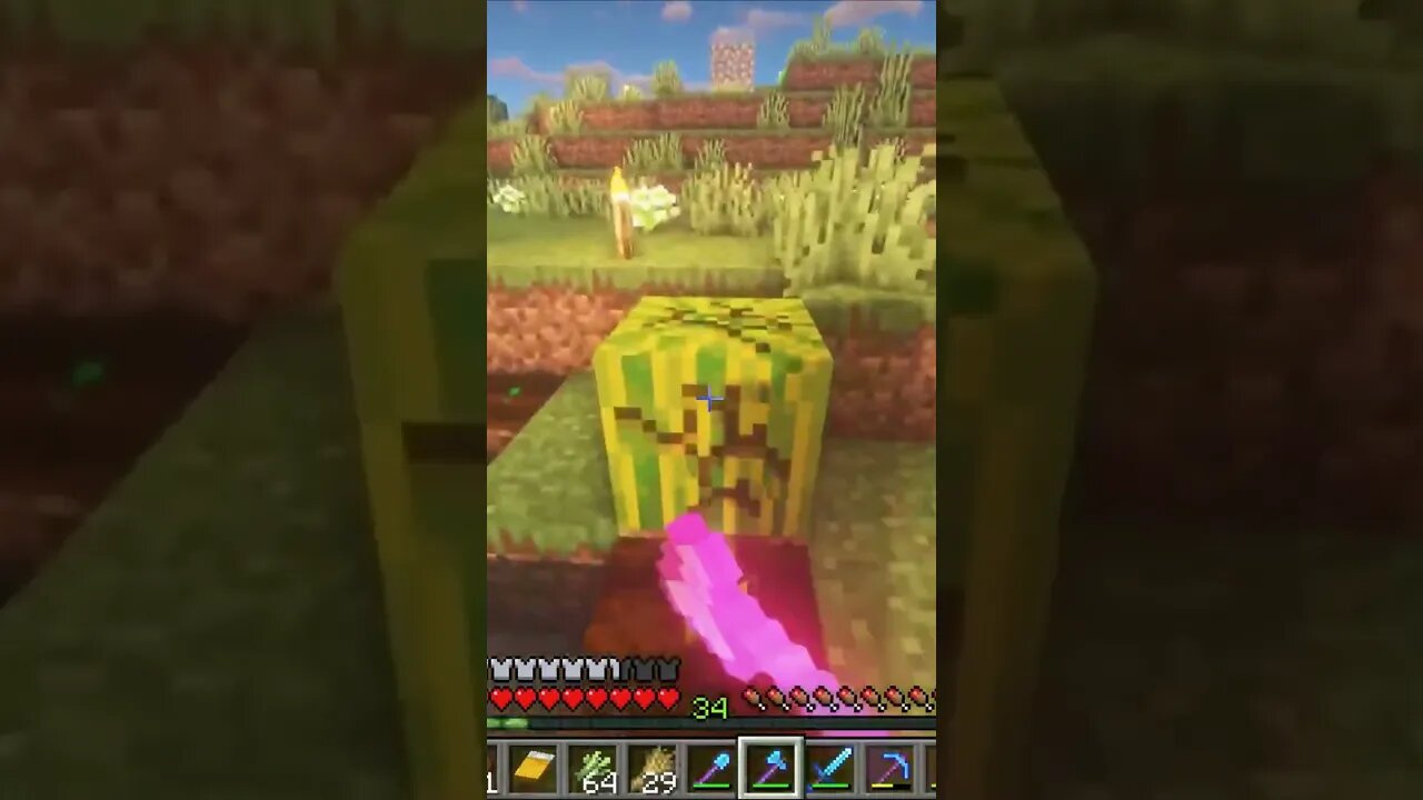 THE BEST Minecraft experience