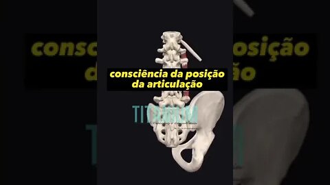 Como fortalecer o core de uma forma fácil e rápida