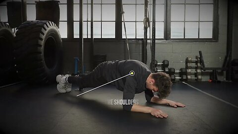 How to do Plank Ab Exercise