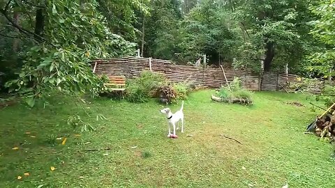 Cottage in Stary Plzenec
