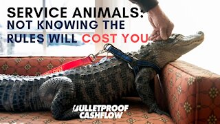 Service Animals: Not Knowing the Rules Will Cost You