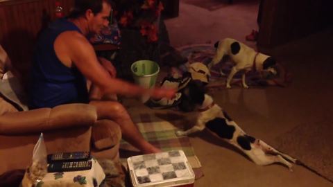 This Amazing Dog Works Out Like A Pro