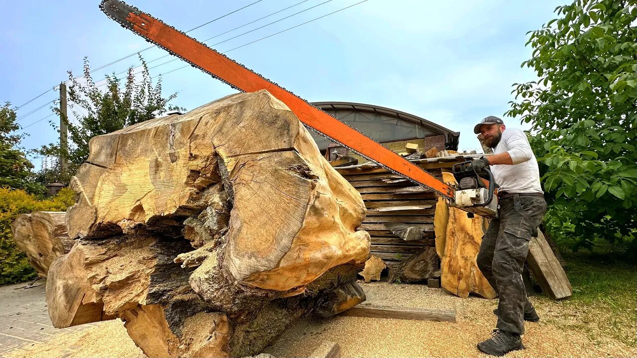 The Worlds Most Powerful Chainsaw vs The most beautiful elm