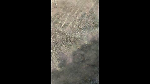 natural boiling water